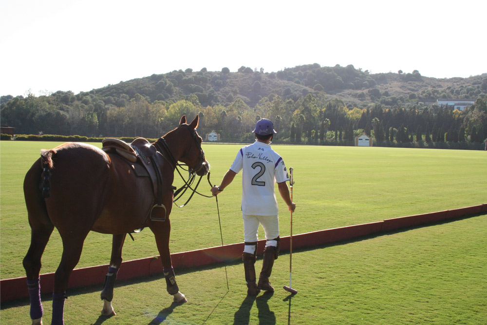 groom leading horse to polo field