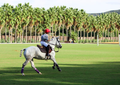 a young rider on a polo pitch