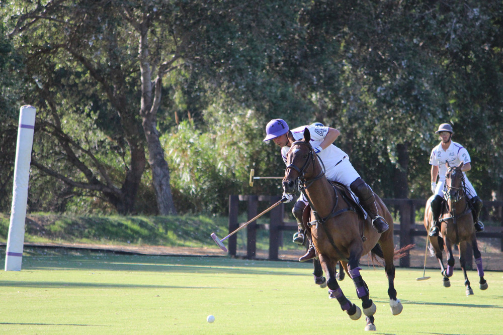a polo match being played