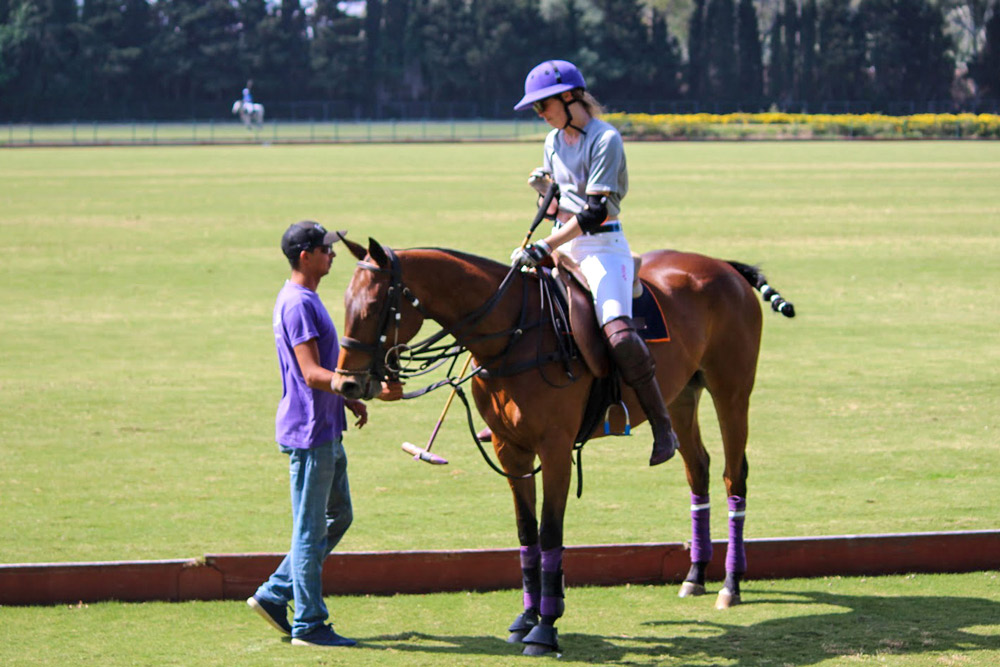 rider on polo pitch