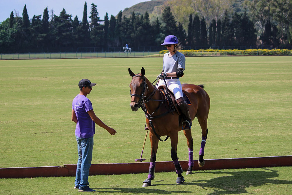 rider on polo pitch
