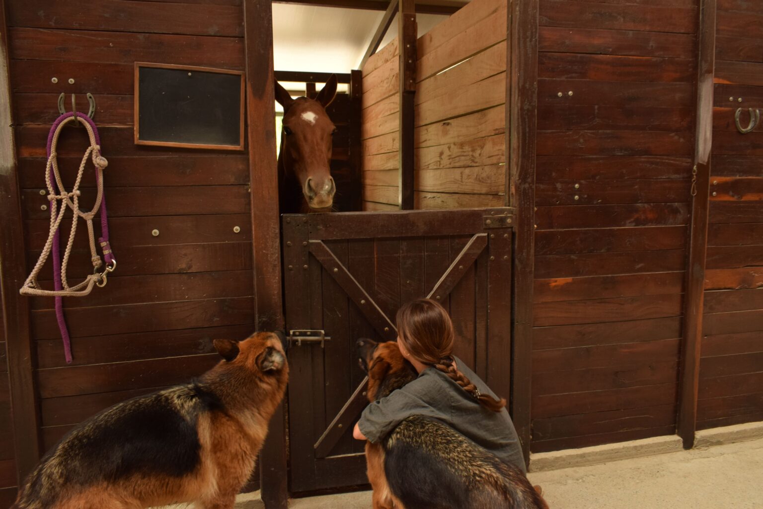 Horse Stable in Soto