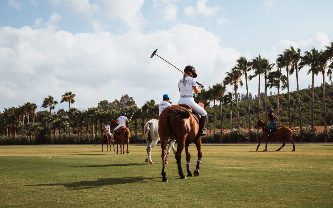 Polo Valley is much more than just a Sotogrande Polo Club