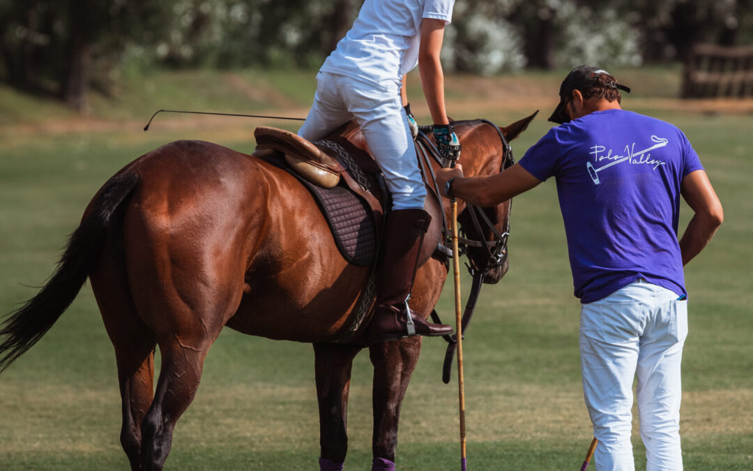 An opportunity to experience world-class sport and education in Spain, Polo Academy