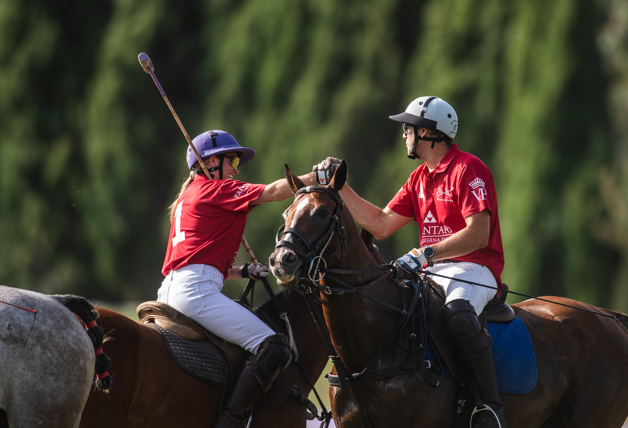 Learn to play polo