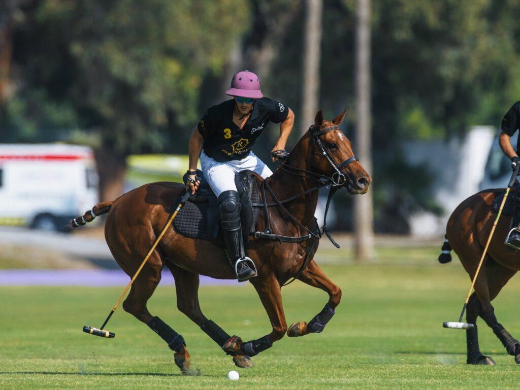 Polo player on horseback preparing to strike the ball during a match in Sotogrande