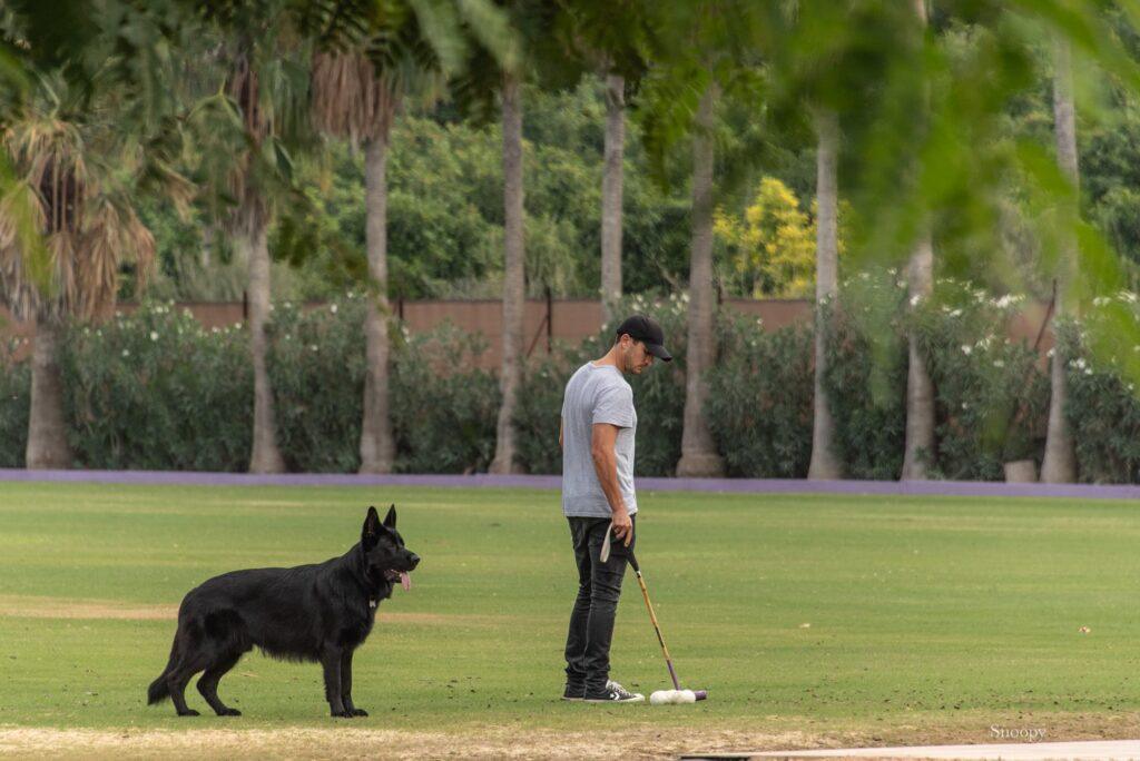 Man standing on a polo field at Polo Valley with a black dog beside him, holding a polo mallet and observing several polo balls on the grass.